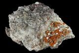 Red-Orange Bipyramidal Wulfenite Crystals - Melissa Mine, Arizona #118989-1